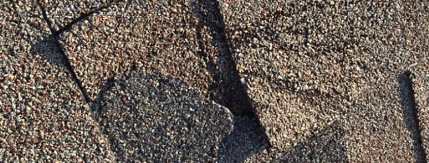 Shingle Damage