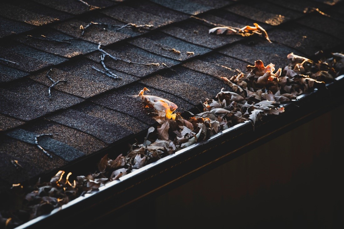 A gutter full of leaves and debris that needs to be cleared before roof maintenance is necessitated