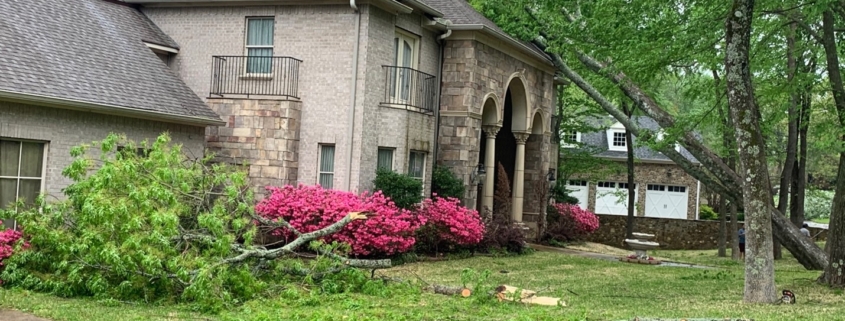 A tree too close to a house has fallen through the residence’s roof and caused damage to the shingles. Branches from the tree are scattered about the yard.